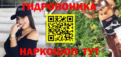 крисы Пенза