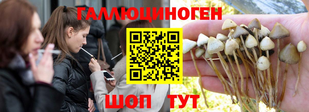 купить наркоту  Вход с VPN  Обнинск  Галлюциногенные грибы Magic Shrooms 